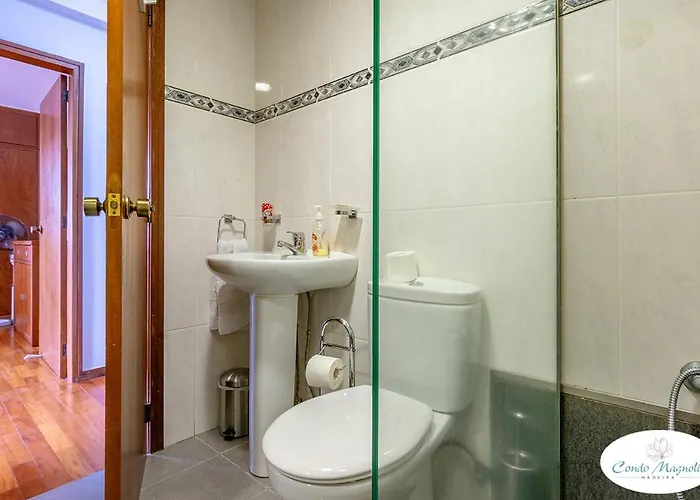 Magnolia * Funchal (Madeira)